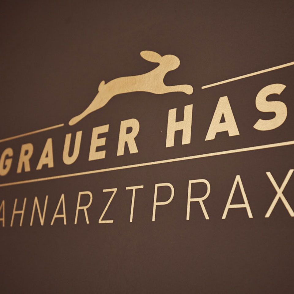 Grauer Hase